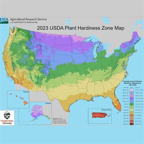 USDA Planting Zones: What Is My Growing Zone? | Planting zones map ...