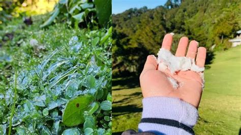 El Pital El Curioso Destino Donde Cae Nieve En Honduras