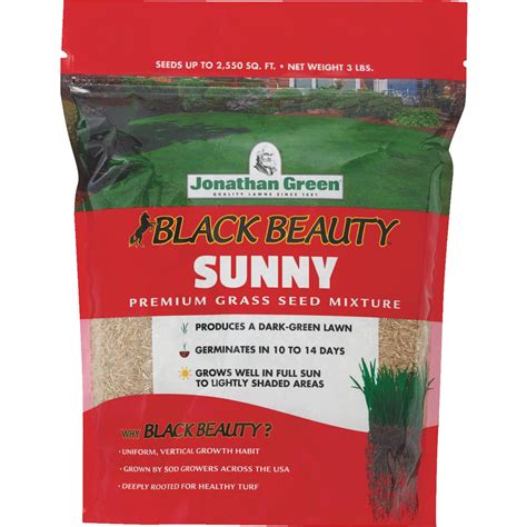 Jonathan Green Black Beauty 3 Lb 1275 Sq Ft Coverage Full Sun Grass Seed