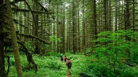 10 Best Hikes in Oregon (INSIDER GUIDE • Top Trails in 2024)