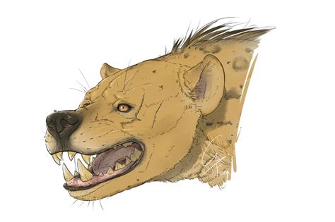 360086 Safe Artistcyfern Hyena Mammal Feral Lifelike Feral