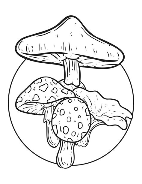 Premium Vector Mushrooms Coloring Pages Mushroom Hand Drawn Mushroom