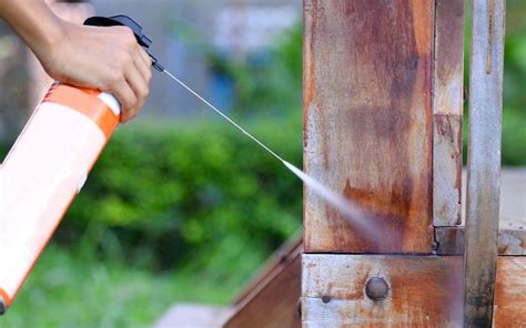 9 Best Termite Treatments Killers And Sprays For Home Use