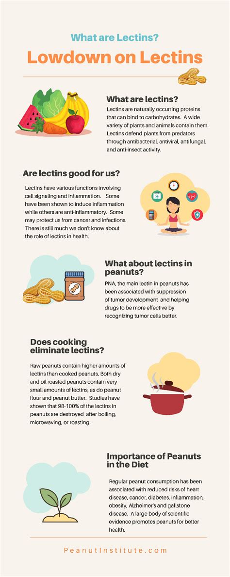 Does Roasting Remove Lectins In Peanut Butter R Nutrition