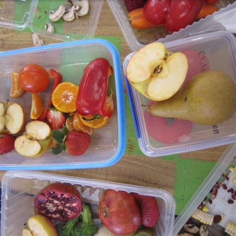 Food Faces Giuseppe Arcimboldo Inspired Year Primary School Art