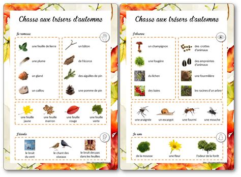 Fiches Pour Organiser Une Chasse Aux Tr Sors D Automne Dans La For T