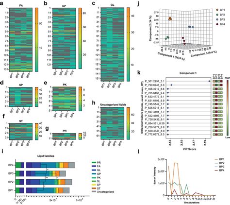 Categorization Of Lipid Species From Bp‐evs Lipidomes Ag Heatmaps Download Scientific