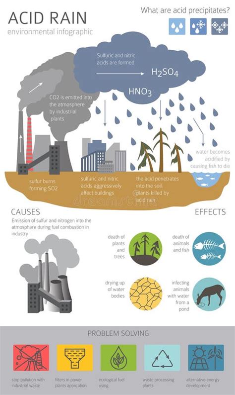 Problemas Ambientales Mundiales Infografía Sobre Degradación De