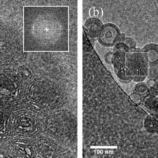 Selection Of Cryo Tem Micrographs Showing A General View Of The C