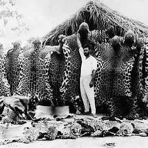 Jaguar Hunting | AfricaHunting.com