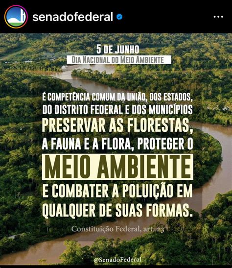 TUDO SOBRE 05 DE JUNHO DIA NACIONAL DO MEIO AMBIENTE É