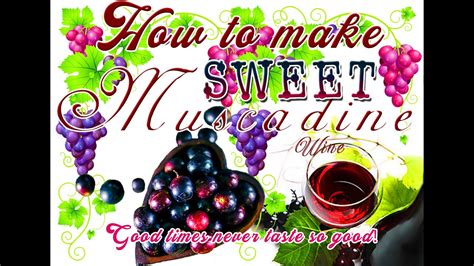 How to make Muscadine Wine - Wine Buyer