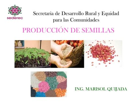 107506074 6 Produccion De Semillas PPT