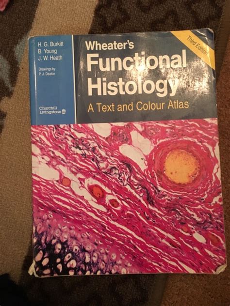 Wheater S Functional Histology A Text And Colour Atlas Rd Edition Ebay