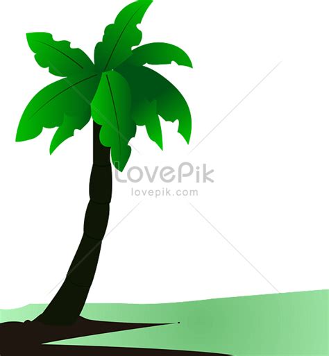 Gambar Pohon Kelapa Png 6 Png Image Images