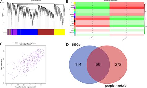 Wcgna Coexpression Module Construction A The Cluster Dendrogram Of The