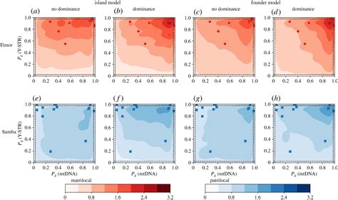 Sex Linked Genetic Diversity Originates From Persistent Sociocultural Processes At