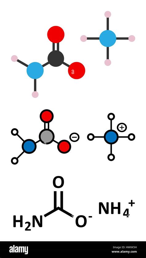 Ammonium carbamate hi-res stock photography and images - Alamy