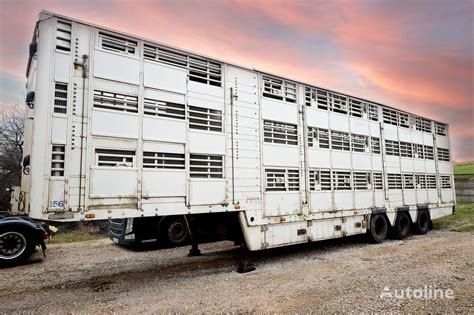 Pezzaioli SBA 32 livestock semi trailer for sale Poland Jędrzejów UQ39158