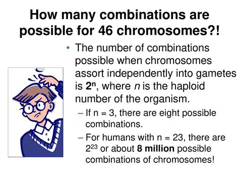 Origins Of Genetic Variation Ppt Download