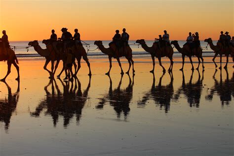 10 Fun Things To Do At Cable Beach Broome Whats On Watsons