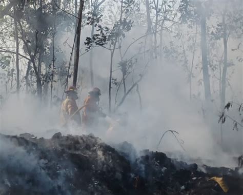 Kebakaran Hari Ini Di Bantul Lahan Berisikan Tumpukan Sampah Di