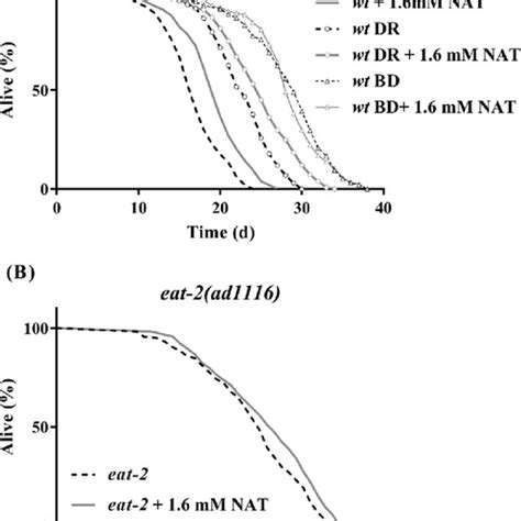 Lifespan Extension Effects Of Nat In C Elegans Involve The Ampk