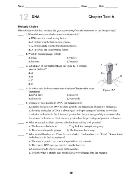 Ch 12 DNA Practice Test