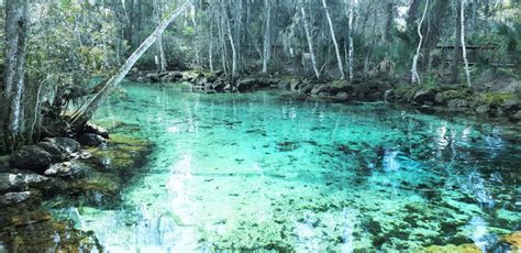 Best Places For Snorkeling In Florida That You Must Visit