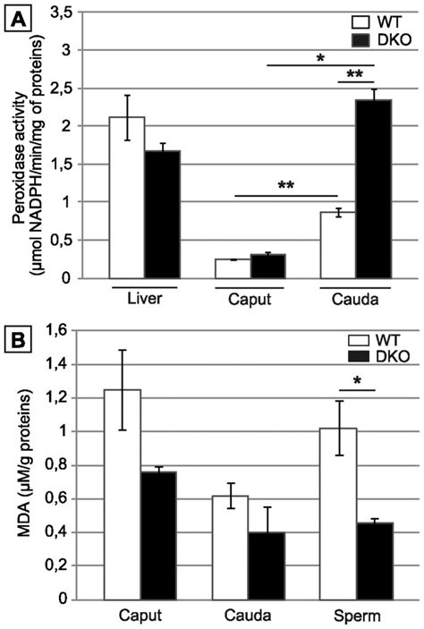 A Histograms Show Global H2o2 Scavenging Activity Using H2o2 As A