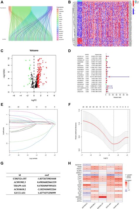 Frontiers Identification And Validation Of A Novel Cuproptosis