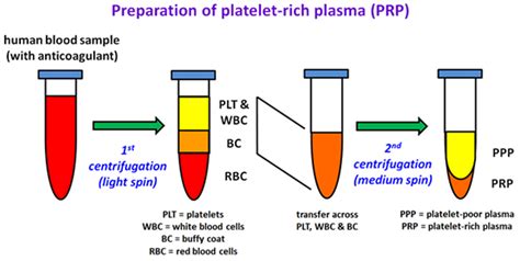 Regulation Of Platelet Rich Plasma Prp Platelet Rich Fibrin Prf