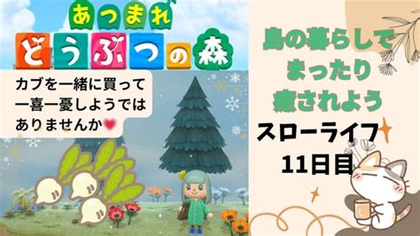 【あつ森 配信 朝活配信】スローライフ11日目 カブを一緒に買って一喜一憂しようではありませんか💗 あつ森 動画まとめ