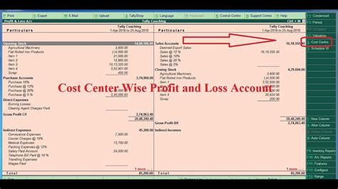 Tally Tdl For Cost Center Wise Profit And Loss Account Tally Add On