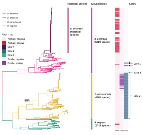 Figure 1 Laboratory Misidentifications Resulting From Taxonomic