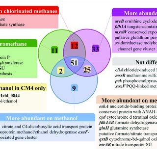 Carbon Source Dependent Transcript Abundance Of Common Core Genes In