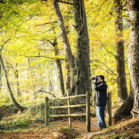 Londonthorpe Woods Visit Lincolnshire