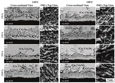 Bse Cross Sectional Images Of Interfaces And Top View Images Of Imcs In