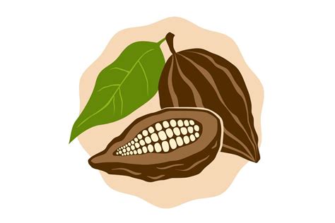 Vector emblem of cocoa beans in retro style. Vector illustration of ...