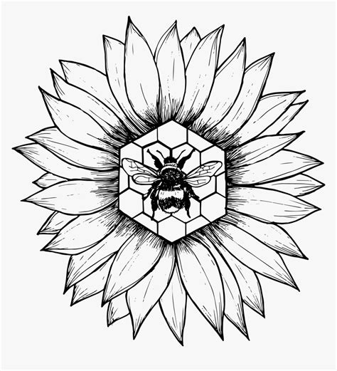 Sunflower And Bee Drawing, HD Png Download , Transparent Png Image ...