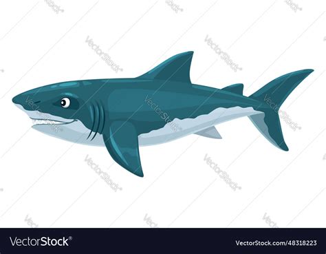 Megalodon shark dinosaur cartoon character Vector Image