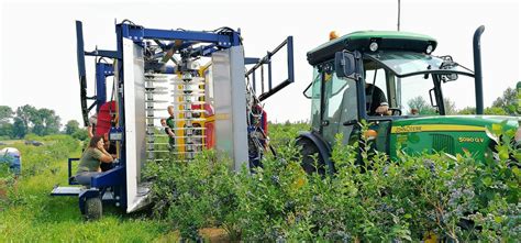 Blueberry & Raspberry Harvester JAGODA 300 | JAGODA JPS