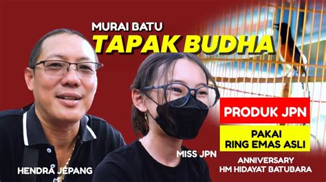 Murai Batu TAPAK BUDHA Produk JPN Pakai Ring Emas Asli Anniversary HM