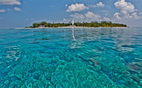 Las 10 Mejores Playas En Veracruz Tips Para Tu Viaje