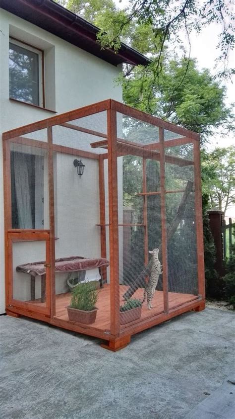 30 Diy Catio Ideas That Are Totally Pawsome Cat Enclosure Outdoor