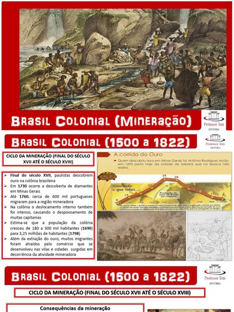 Mineração no Brasil Colonial: Impactos e Controle | PDF | Brasil ...