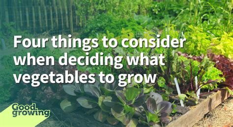 Four Things To Consider When Deciding What Vegetables To Grow Good Growing Illinois