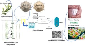 Tailoring Of Gelatin Chitosan Nanofibers Functionalized With Eucalyptus