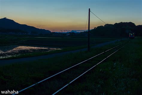 鉄道風景写真が撮りたーいっ！ 期待したほどではなかったね