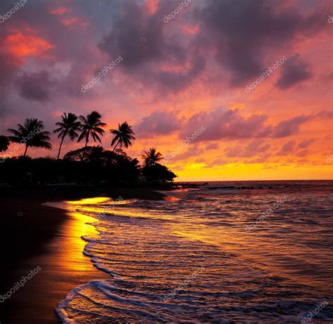 Tropical beach on Hawaii Stock Photo by ©kamchatka 5877000